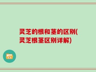 灵芝的根和茎的区别(灵芝根茎区别详解)