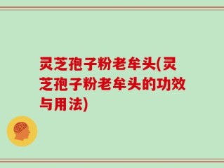 灵芝孢子粉老牟头(灵芝孢子粉老牟头的功效与用法)