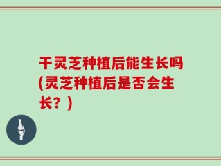 干灵芝种植后能生长吗(灵芝种植后是否会生长？)