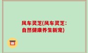 风车灵芝(风车灵芝：自然健康养生新宠)