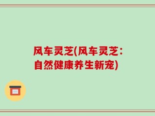风车灵芝(风车灵芝：自然健康养生新宠)