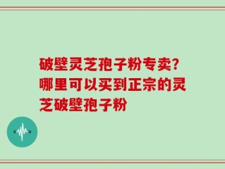 破壁灵芝孢子粉专卖？哪里可以买到正宗的灵芝破壁孢子粉
