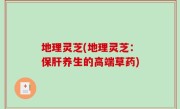 地理灵芝(地理灵芝：保肝养生的高端草药)