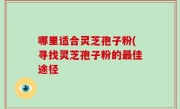 哪里适合灵芝孢子粉(寻找灵芝孢子粉的最佳途径