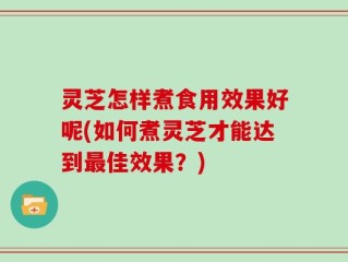 灵芝怎样煮食用效果好呢(如何煮灵芝才能达到最佳效果？)