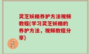 灵芝妖精养护方法视频教程(学习灵芝妖精的养护方法，视频教程分享)