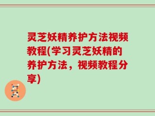 灵芝妖精养护方法视频教程(学习灵芝妖精的养护方法，视频教程分享)