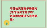 华芝怡灵芝孢子粉图片(华芝怡灵芝孢子粉：为你的健康注入自然能量)