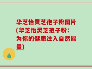 华芝怡灵芝孢子粉图片(华芝怡灵芝孢子粉：为你的健康注入自然能量)