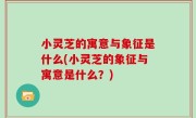 小灵芝的寓意与象征是什么(小灵芝的象征与寓意是什么？)