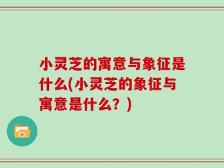 小灵芝的寓意与象征是什么(小灵芝的象征与寓意是什么？)