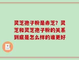 灵芝孢子粉是赤芝？灵芝和灵芝孢子粉的关系到底是怎么样的谁更好