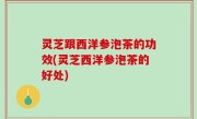 灵芝跟西洋参泡茶的功效(灵芝西洋参泡茶的好处)