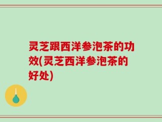 灵芝跟西洋参泡茶的功效(灵芝西洋参泡茶的好处)