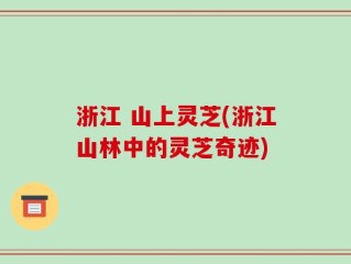 浙江 山上灵芝(浙江山林中的灵芝奇迹)