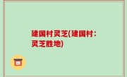 建国村灵芝(建国村：灵芝胜地)