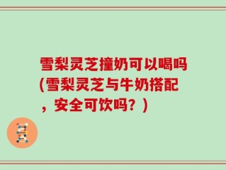 雪梨灵芝撞奶可以喝吗(雪梨灵芝与牛奶搭配，安全可饮吗？)
