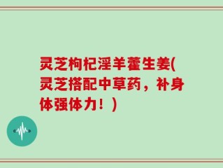 灵芝枸杞淫羊藿生姜(灵芝搭配中草药，补身体强体力！)