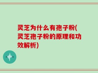 灵芝为什么有孢子粉(灵芝孢子粉的原理和功效解析)