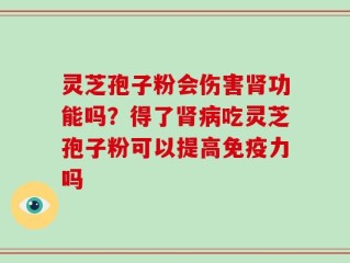 灵芝孢子粉会伤害肾功能吗？得了肾病吃灵芝孢子粉可以提高免疫力吗