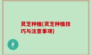 灵芝种植(灵芝种植技巧与注意事项)
