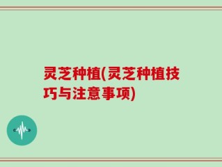灵芝种植(灵芝种植技巧与注意事项)