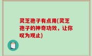 灵芝孢子有点用(灵芝孢子的神奇功效，让你叹为观止)