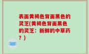 表面黄褐色背面黑色的灵芝(黄褐色背面黑色的灵芝：新鲜的中草药？)