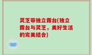 灵芝带独立露台(独立露台与灵芝，美好生活的完美结合)
