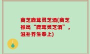 商芝鹿茸灵芝酒(商芝推出“鹿茸灵芝酒”，滋补养生奉上)