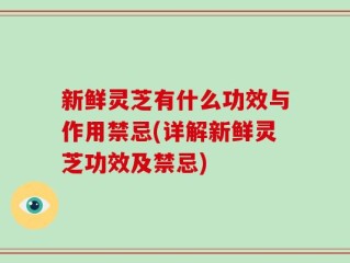 新鲜灵芝有什么功效与作用禁忌(详解新鲜灵芝功效及禁忌)