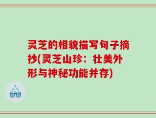 灵芝的相貌描写句子摘抄(灵芝山珍：壮美外形与神秘功能并存)