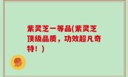 紫灵芝一等品(紫灵芝顶级品质，功效超凡奇特！)