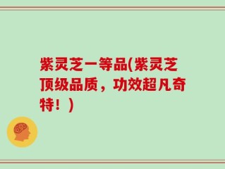 紫灵芝一等品(紫灵芝顶级品质，功效超凡奇特！)