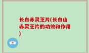 长白赤灵芝片(长白山赤灵芝片的功效和作用)
