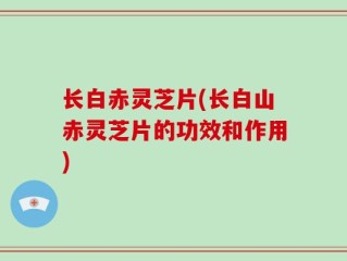 长白赤灵芝片(长白山赤灵芝片的功效和作用)