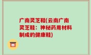 广南灵芝鞋(云南广南灵芝鞋：神秘药用材料制成的健康鞋)