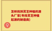 怎样找到灵芝种植的源头厂家(寻找灵芝种植起源的制造商)