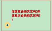 你愿意去踩灵芝吗(你愿意亲自采摘灵芝吗？)