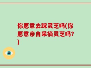 你愿意去踩灵芝吗(你愿意亲自采摘灵芝吗？)