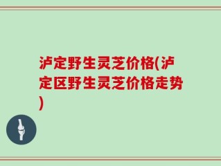 泸定野生灵芝价格(泸定区野生灵芝价格走势)