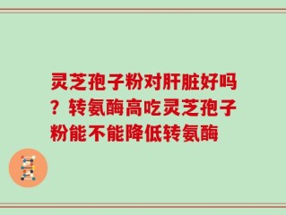 灵芝孢子粉对肝脏好吗？转氨酶高吃灵芝孢子粉能不能降低转氨酶