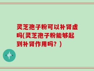 灵芝孢子粉可以补肾虚吗(灵芝孢子粉能够起到补肾作用吗？)
