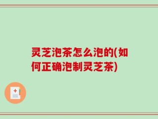 灵芝泡茶怎么泡的(如何正确泡制灵芝茶)