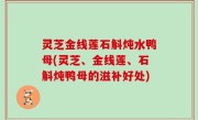灵芝金线莲石斛炖水鸭母(灵芝、金线莲、石斛炖鸭母的滋补好处)