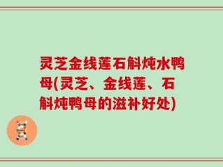 灵芝金线莲石斛炖水鸭母(灵芝、金线莲、石斛炖鸭母的滋补好处)