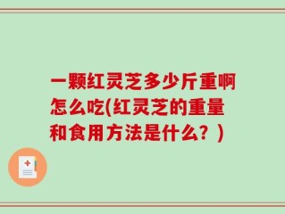 一颗红灵芝多少斤重啊怎么吃(红灵芝的重量和食用方法是什么？)