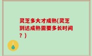 灵芝多大才成熟(灵芝到达成熟需要多长时间？)