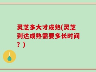 灵芝多大才成熟(灵芝到达成熟需要多长时间？)