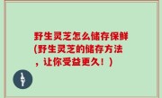 野生灵芝怎么储存保鲜(野生灵芝的储存方法，让你受益更久！)